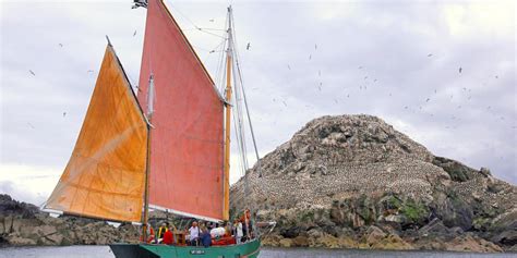 ossement sept iles|Set sail for les Sept